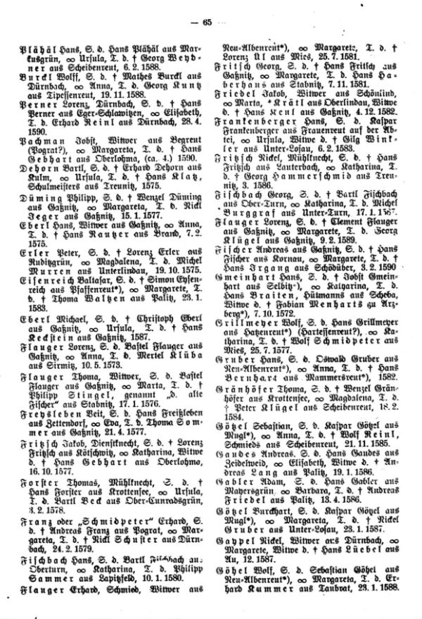 Gelegenheitsfindlinge aus der ältesten Treunitzer Traumatrik 1572-1590 - 2