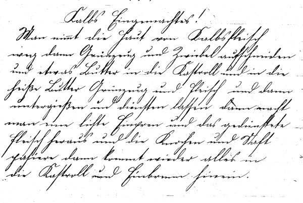 Rezept 'Kalbs Eingemachtes'